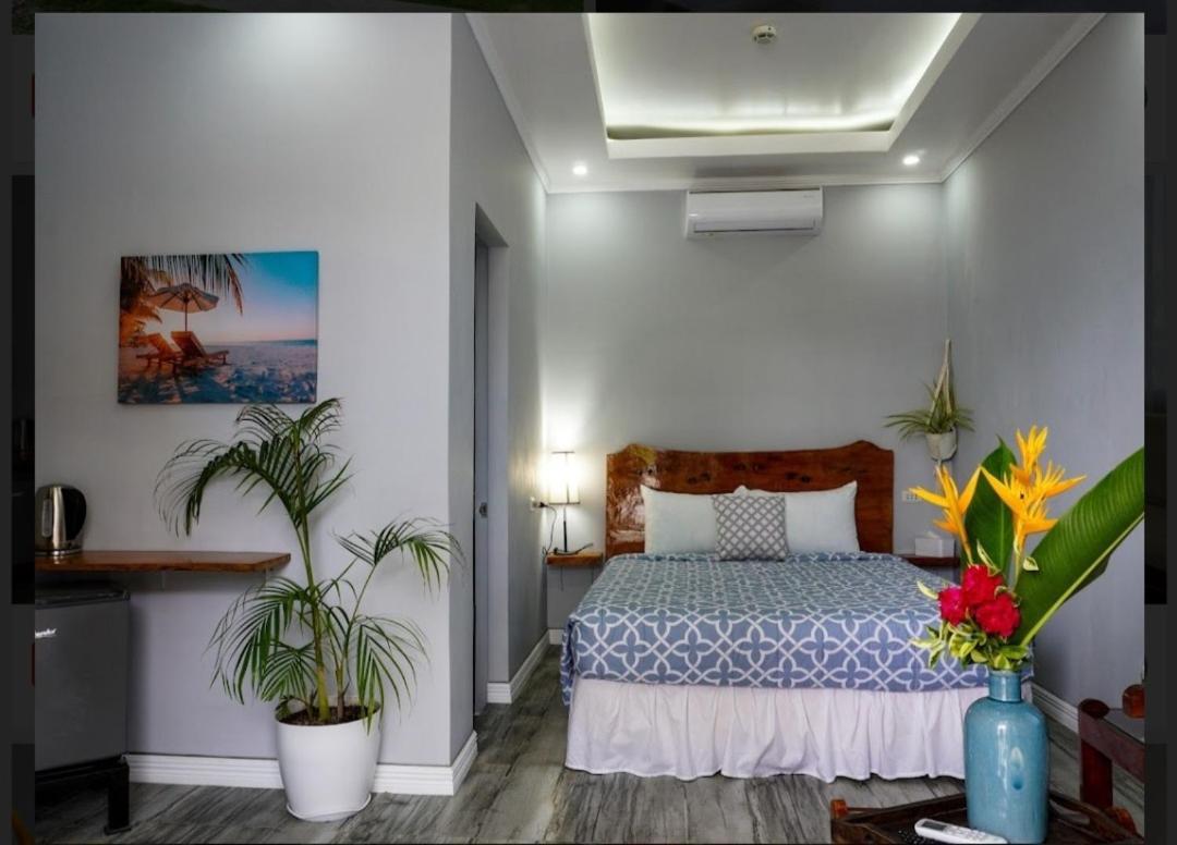 Hotel Palm View Moalboal Exterior foto